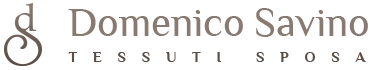 Domenico Savino logo