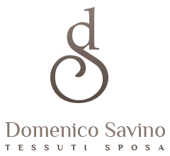 Domenico Savino logo